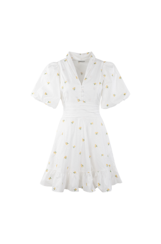 Makayla Dress Embroidery poplin dress