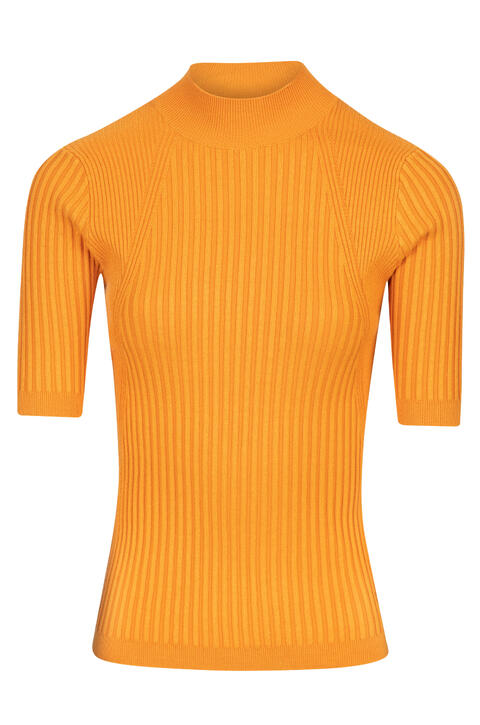 Fannie Top SS rib mock neck