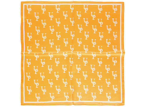 Kristiansand Scarf Apricot One Size Printed silk scarf 