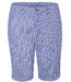 Blue Stripe