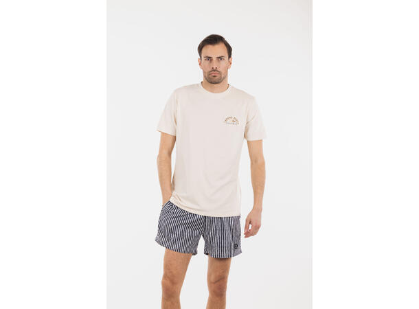 Hawaii Shorts AOP Graphite stripe L Printed swim shorts 