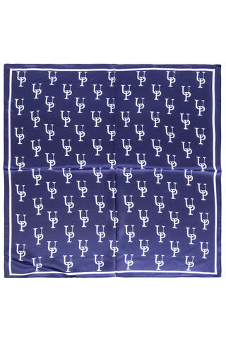 Kristiansand Scarf Navy One Size Printed silk scarf