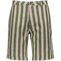 Felix Stripe Shorts Olive stripe S Linen stretch shorts