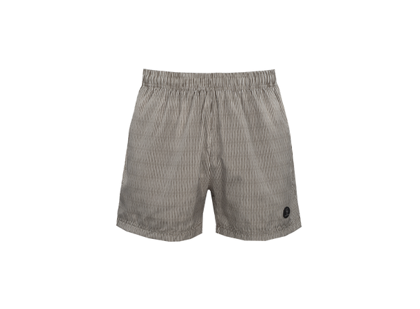Hawaii Shorts AOP Sea turtle stripe M Printed swim shorts 