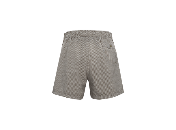Hawaii Shorts AOP Sea turtle stripe M Printed swim shorts 