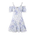Gianna Dress Blue AOP XL Embroidery print mini dress