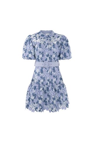 Isla Dress Lace mini dress
