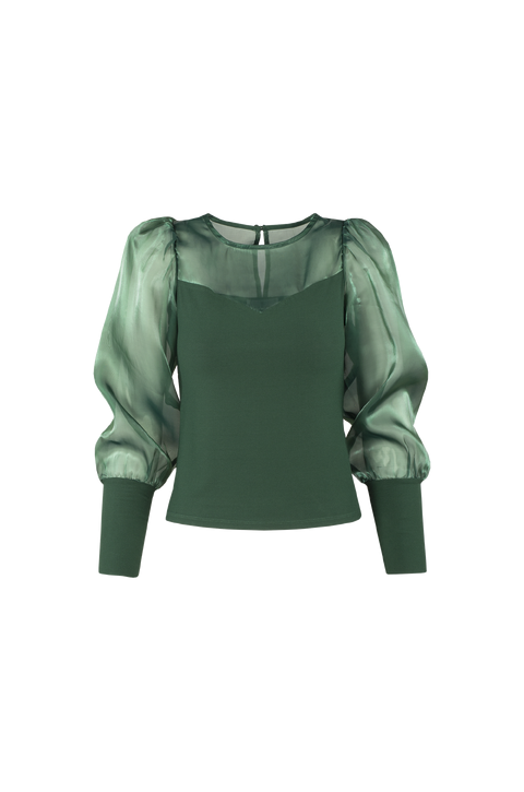 Sarla Top Organza longsleeve blouse