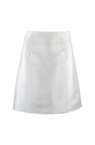 Kara Skirt Glitter skirt