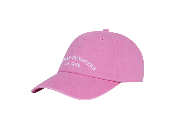 Sandiego Cap Pink One Size Washed logo cap 