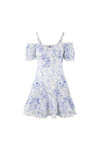 Gianna Dress Embroidery print mini dress