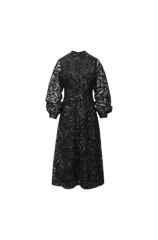 Sagin Dress Embroidered long dress