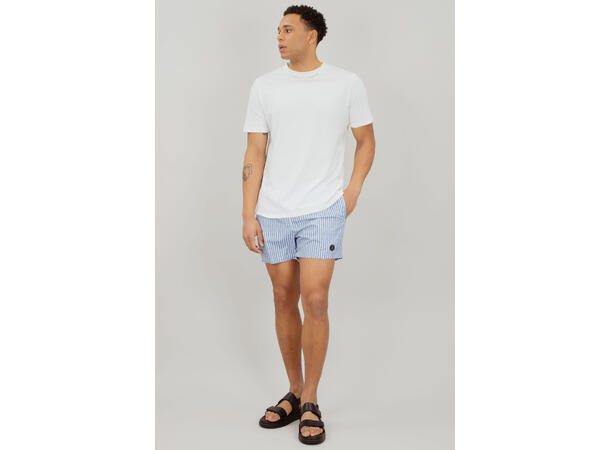 Hawaii Shorts AOP Blue Bonnet Stripe M Printed swim shorts 