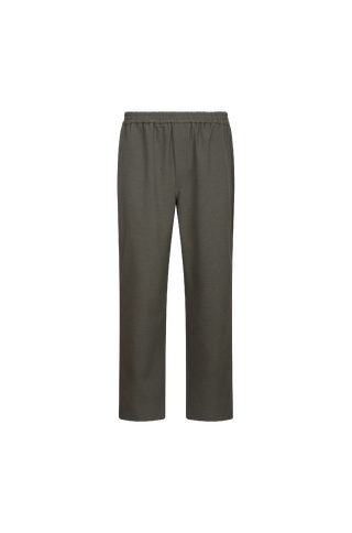 Hayden Pants Wool jogger pants